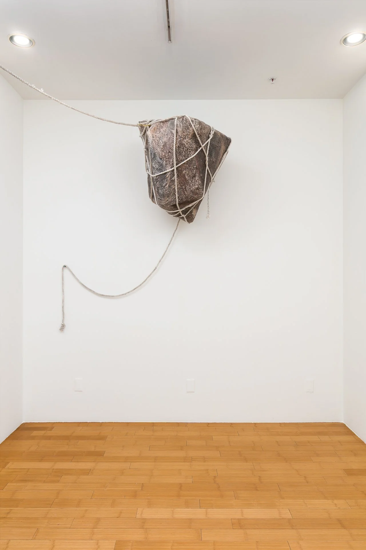 Enduring Gravity (installation detail) paper mâché, rope, wood, hardware, graphite on paper Dimensions variable 2025