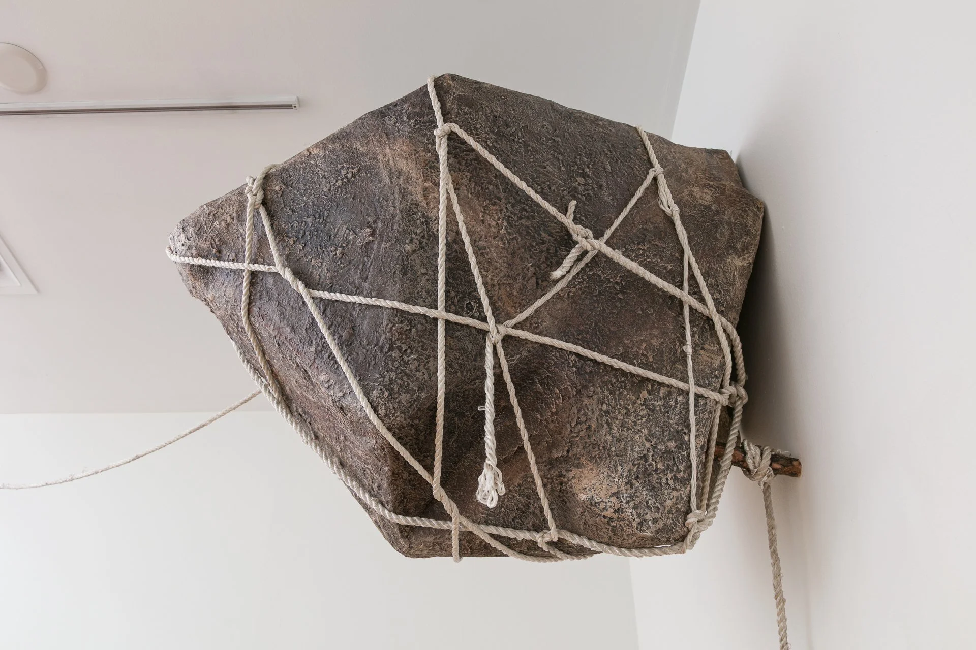 Enduring Gravity (installation detail) paper mâché, rope, wood, hardware, graphite on paper Dimensions variable 2025
