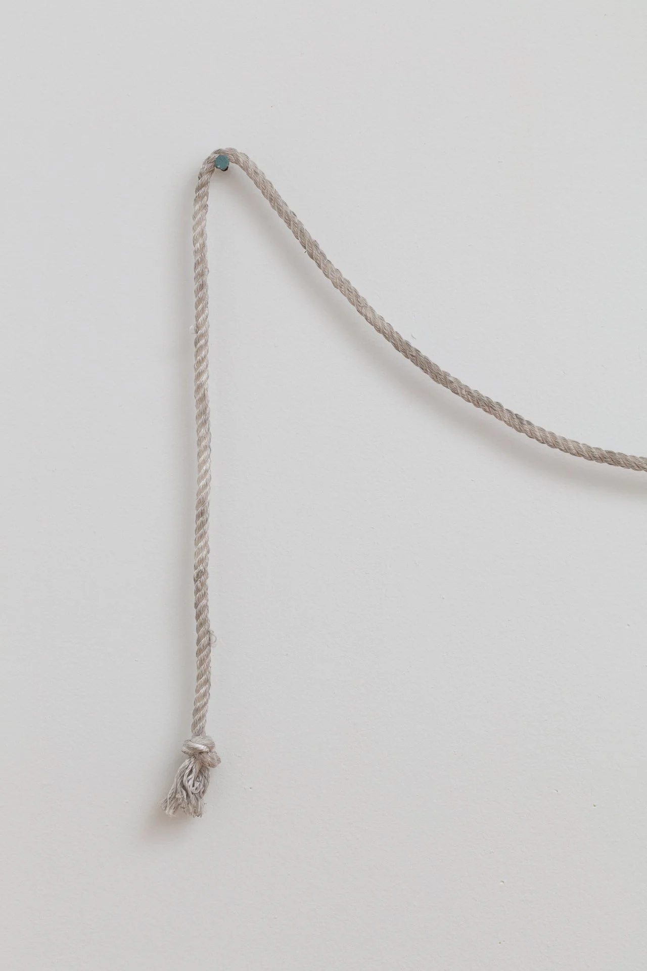 Enduring Gravity (installation detail) paper mâché, rope, wood, hardware, graphite on paper Dimensions variable 2025