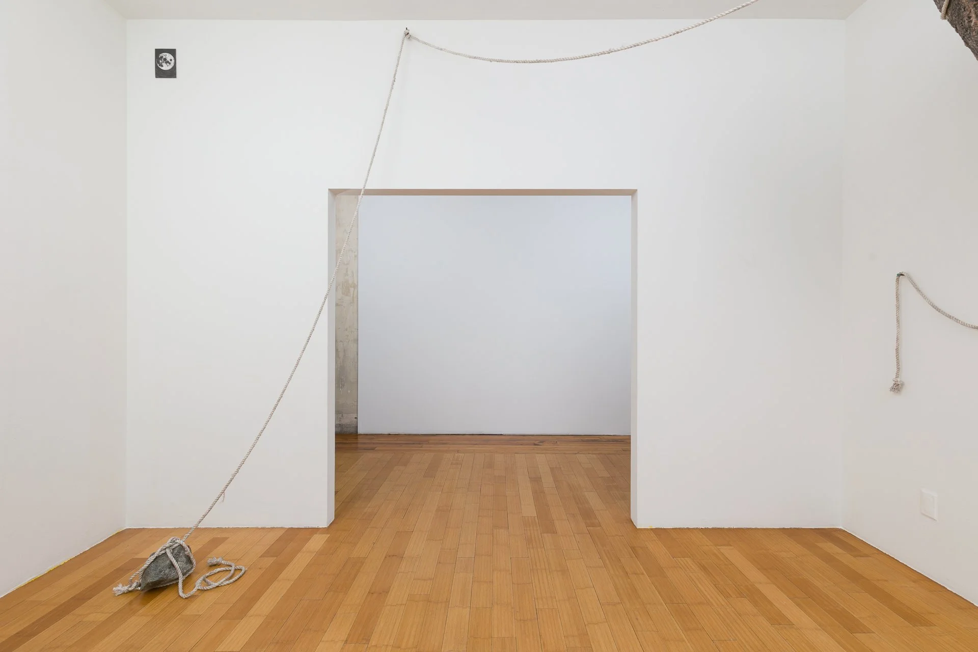 Enduring Gravity (installation detail) paper mâché, rope, wood, hardware, graphite on paper Dimensions variable 2025