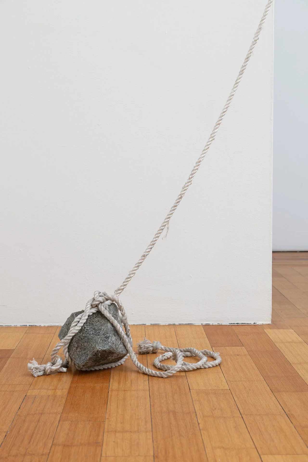 Enduring Gravity (installation detail) paper mâché, rope, wood, hardware, graphite on paper Dimensions variable 2025