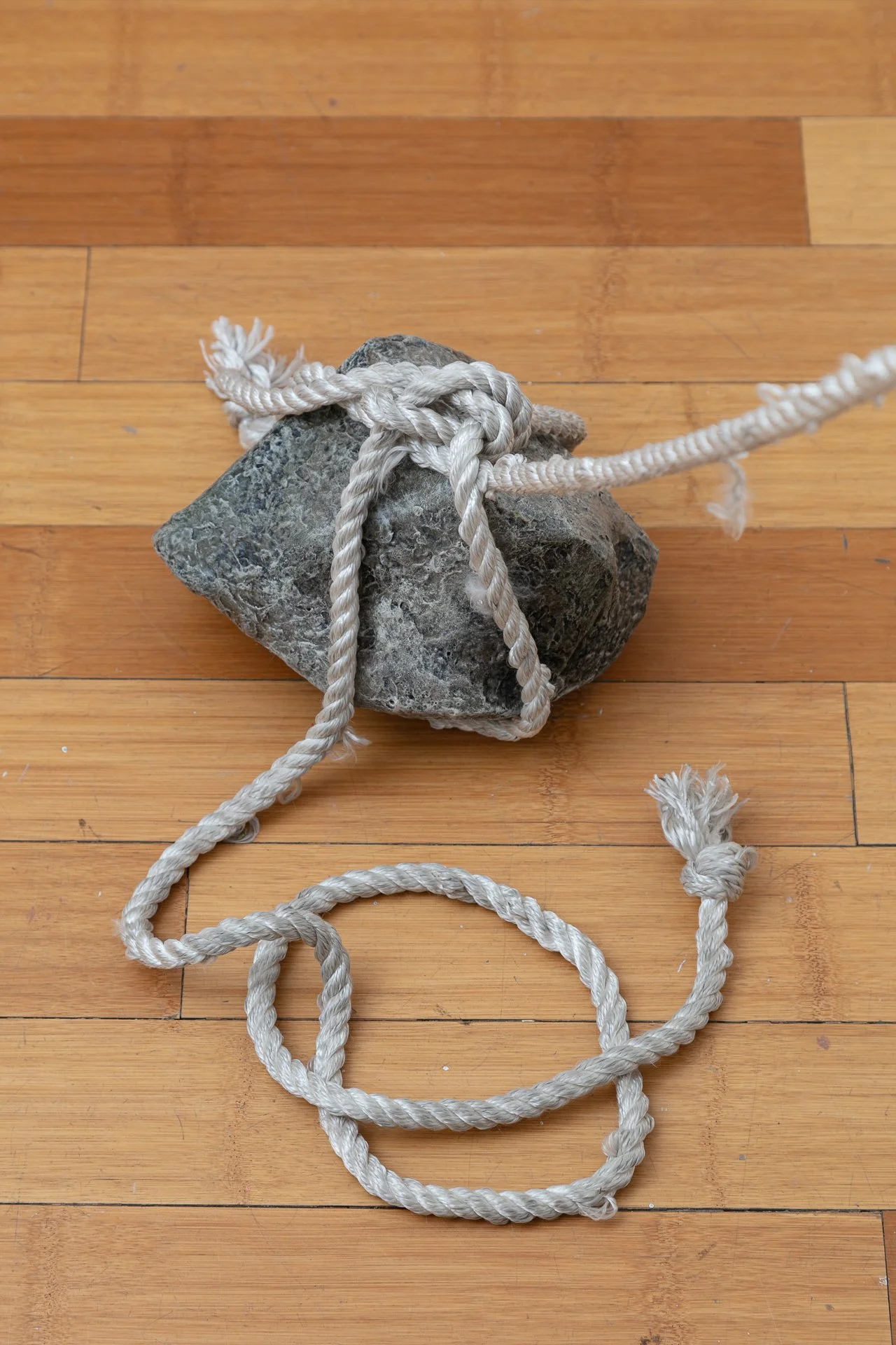 Enduring Gravity (installation detail) paper mâché, rope, wood, hardware, graphite on paper Dimensions variable 2025