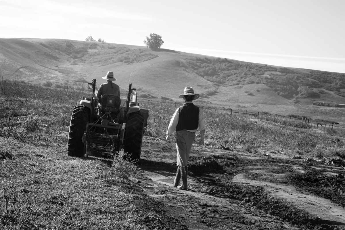 tractor.jpg