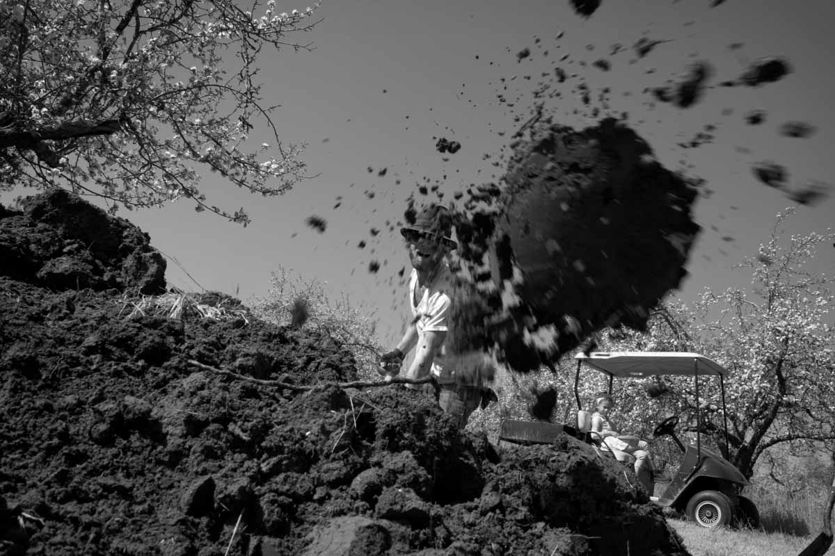 brandon_compost.jpg