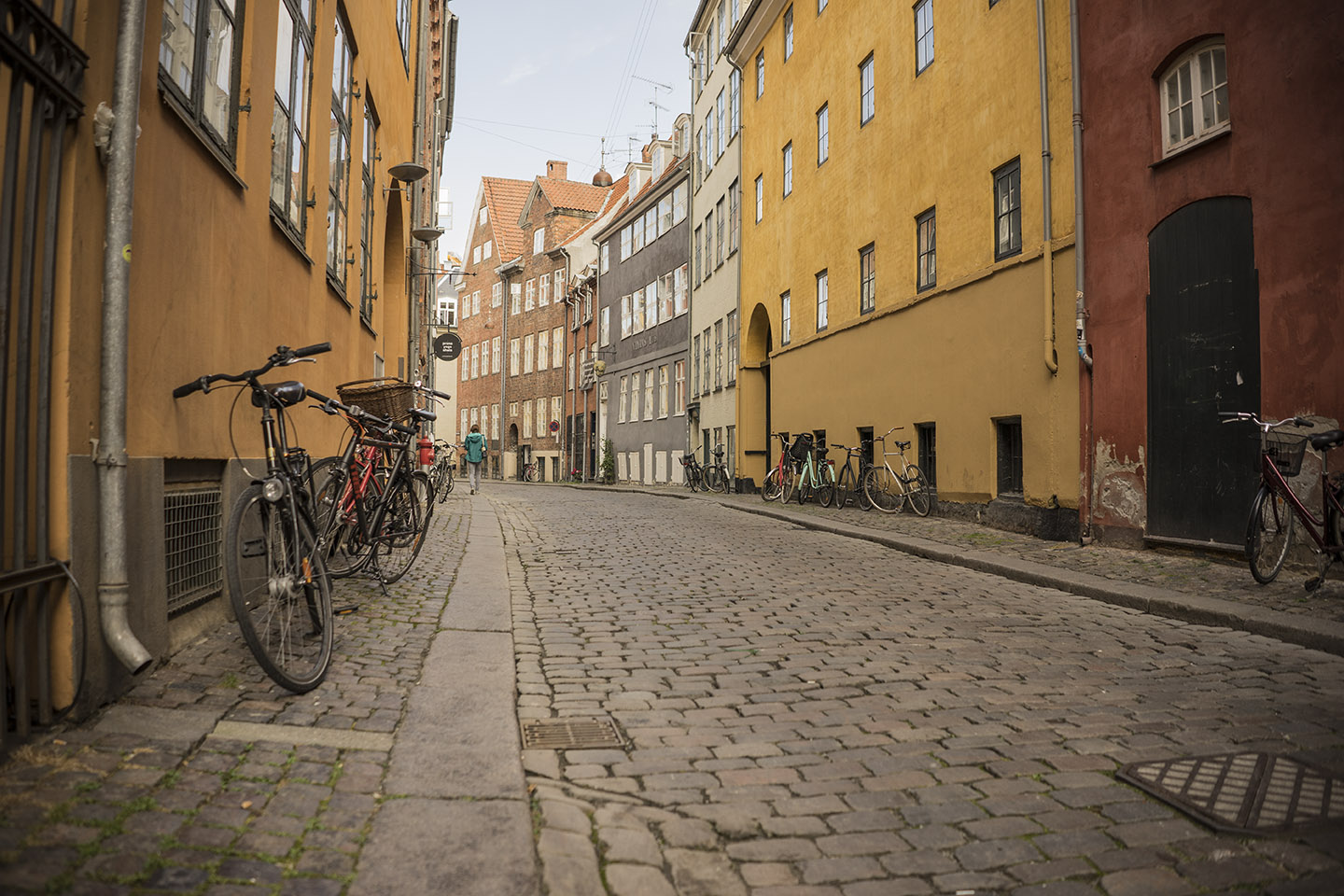 Alley of Copenhagen.jpg