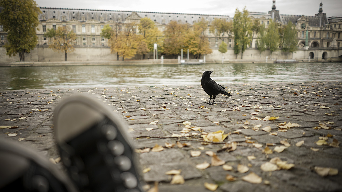 Paris_0028.jpg