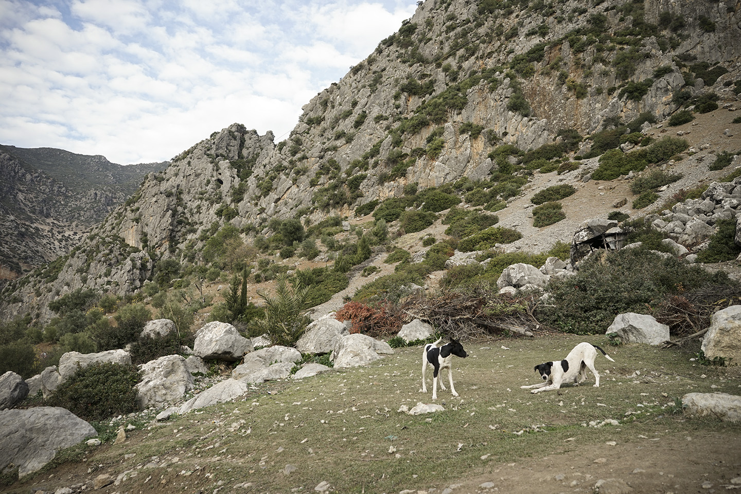 Chefchaouen_0019.jpg