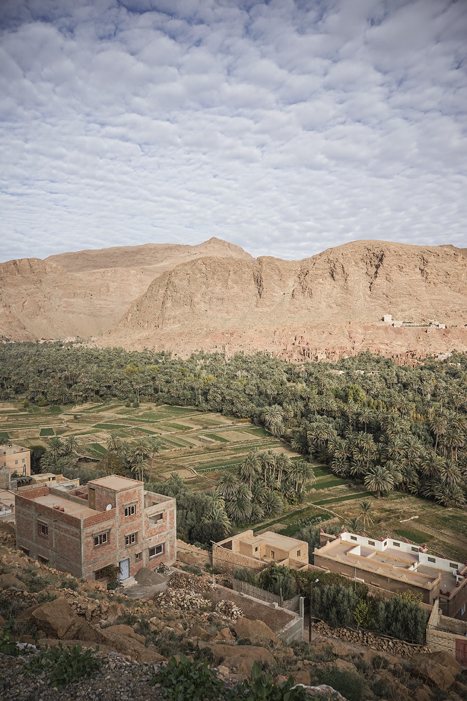 Desert Excursion_0053.jpg