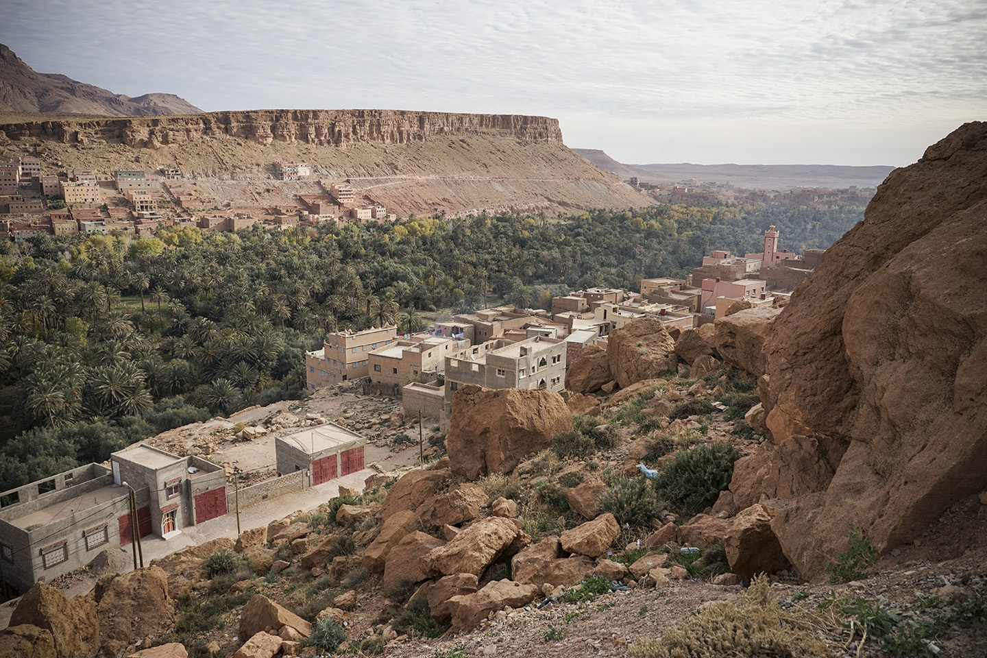 Desert Excursion_0054.jpg