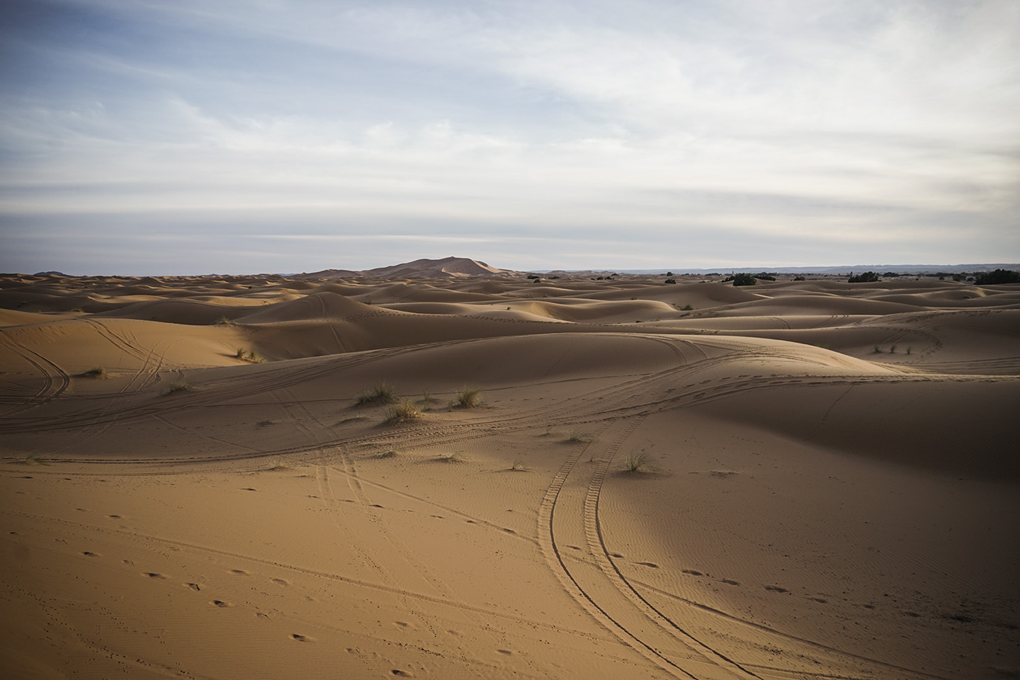 Desert Excursion_0070.jpg