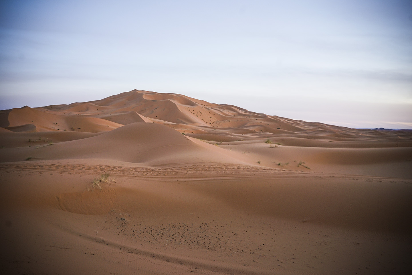 Desert Excursion_0077.jpg