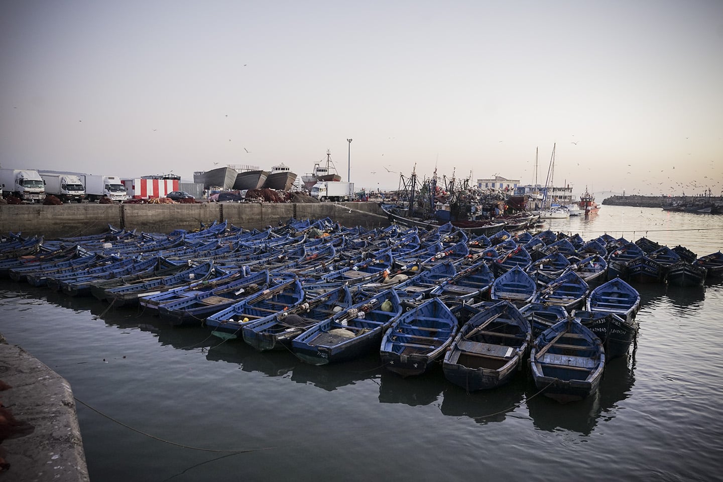 Essaouira_0018.jpg