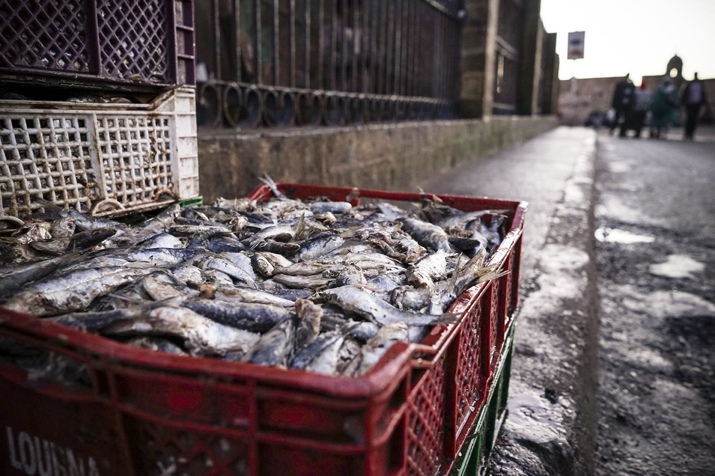 Essaouira_0020.jpg