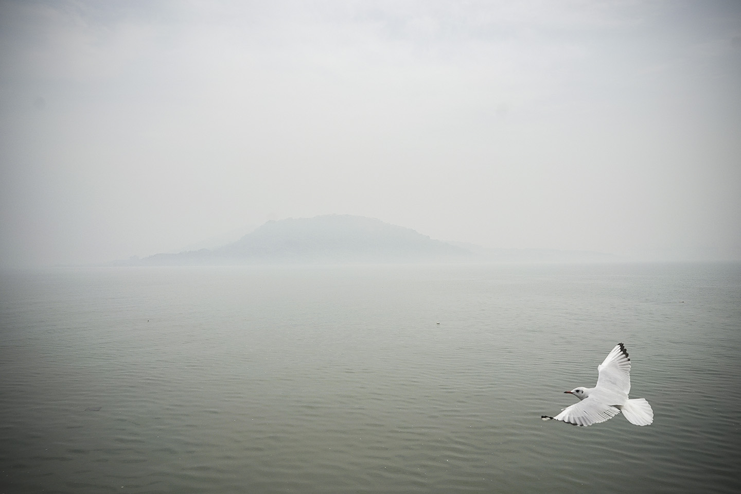 On the way to Elephanta Island