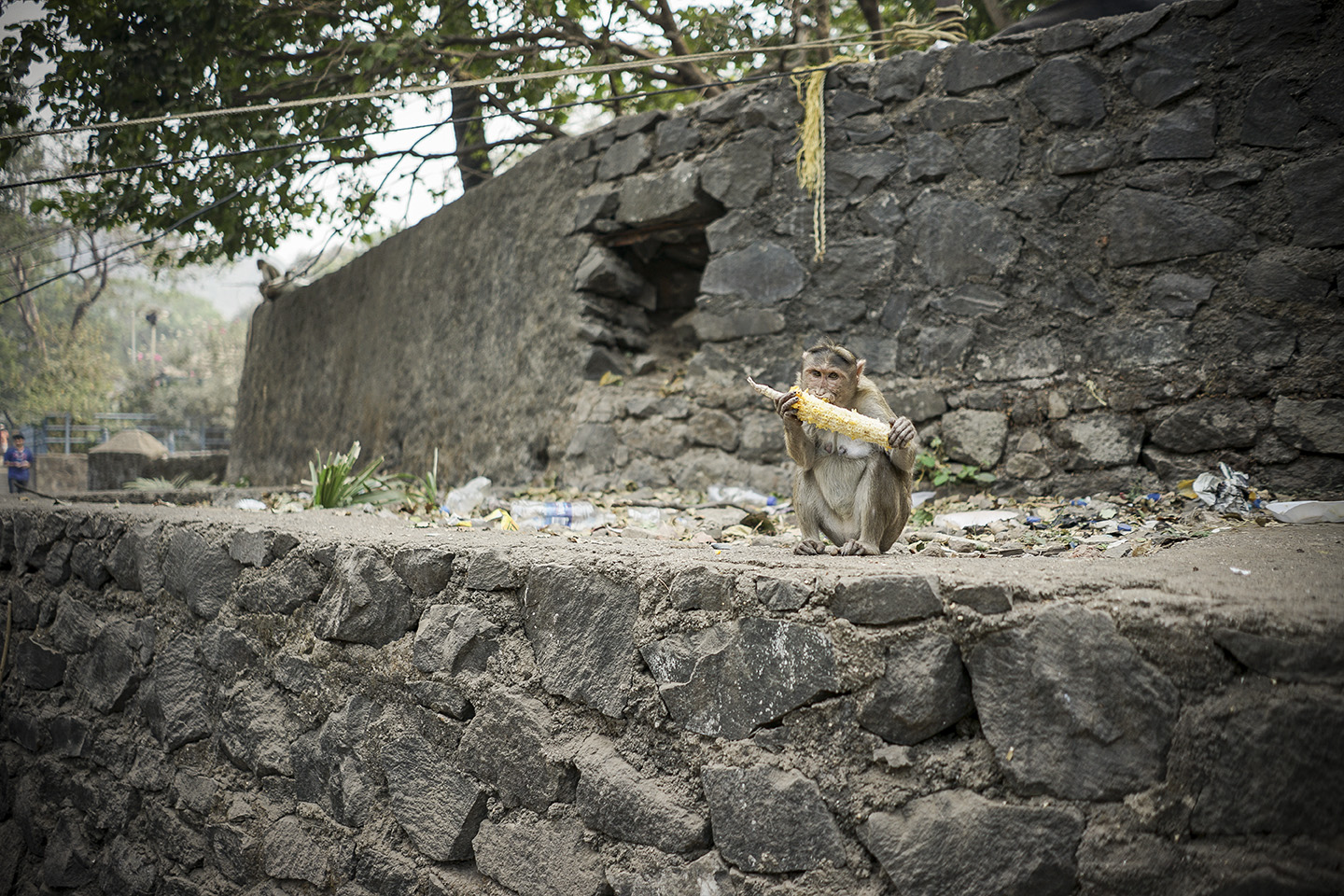 Mumbai_0053.jpg