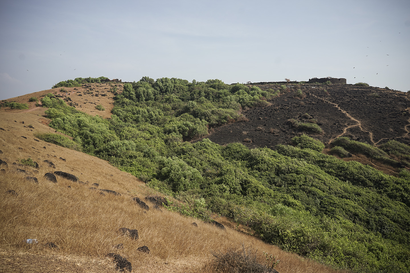 Goa_0028.jpg