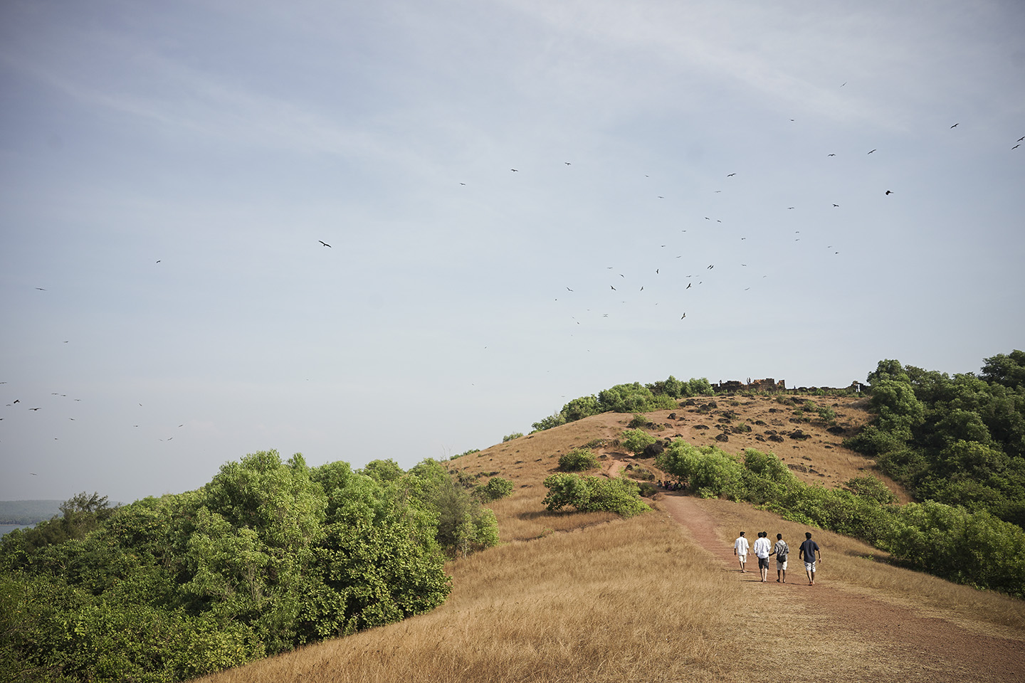 Goa_0030.jpg
