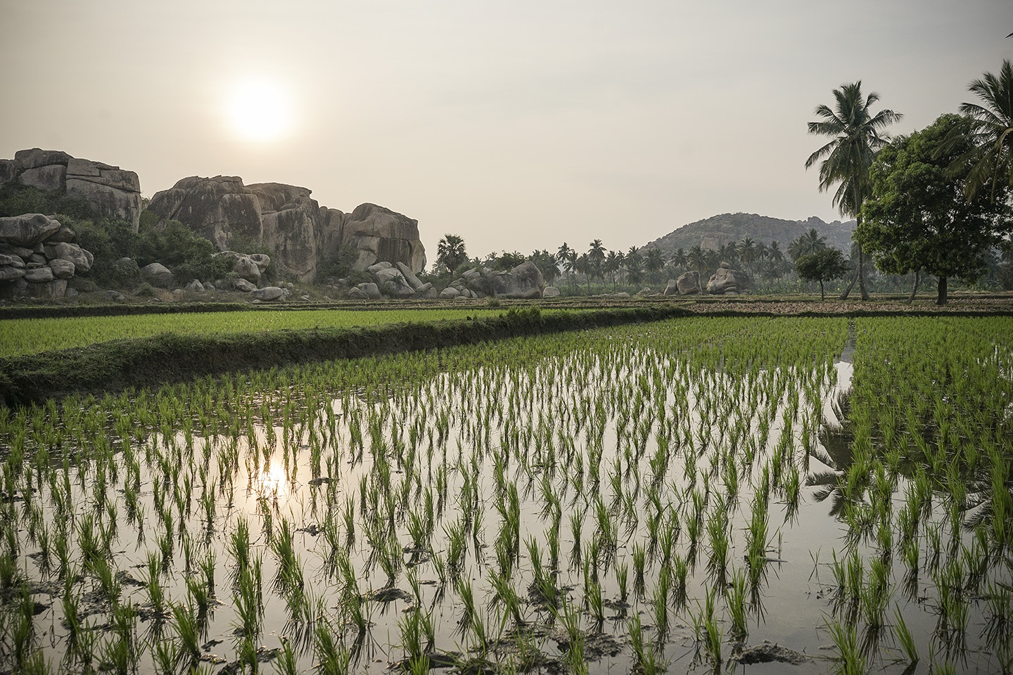 Sunrise, Hampi