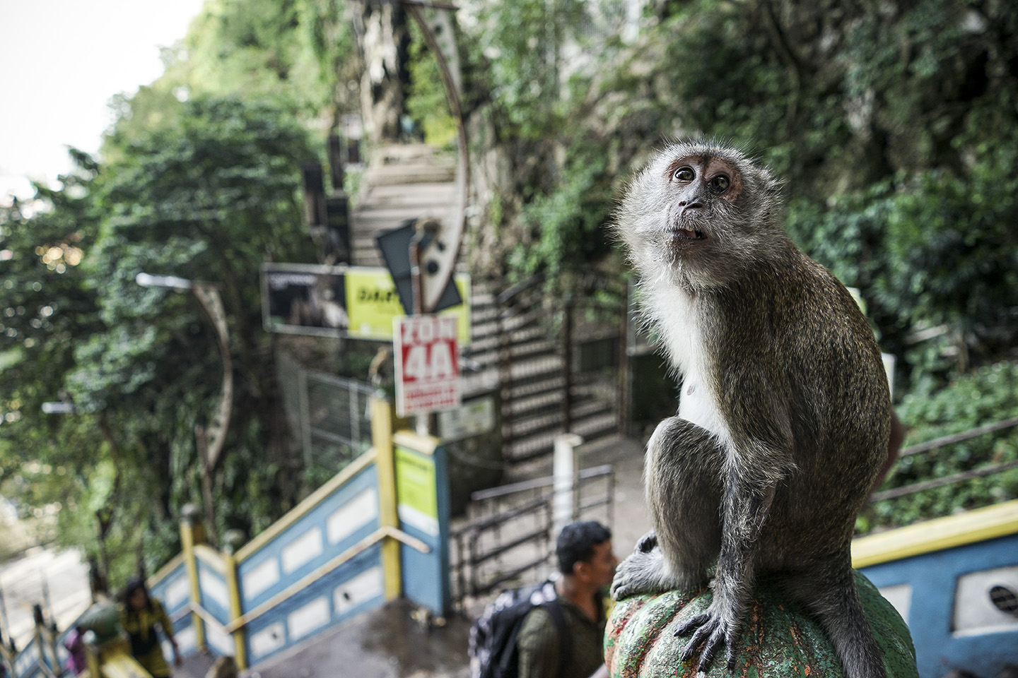 Kuala Lumpur_0062.jpg