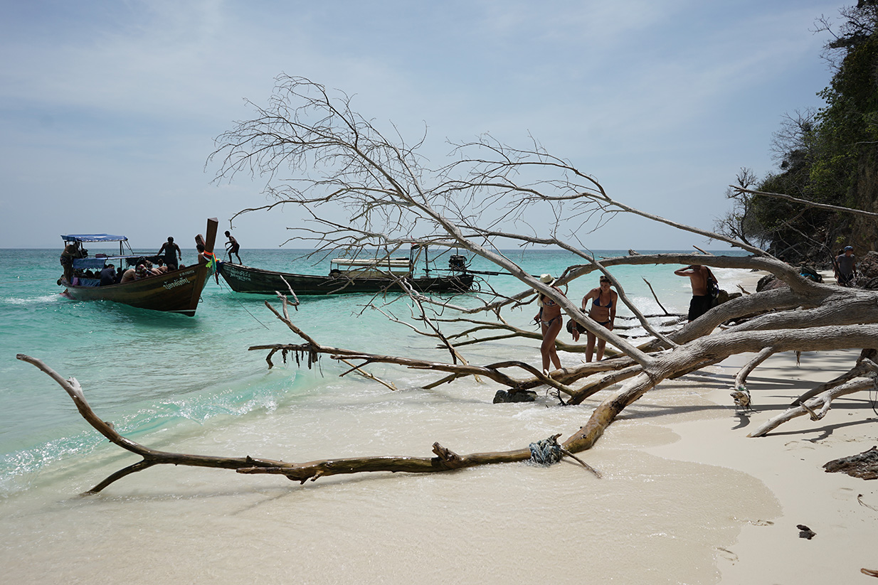 Bamboo Beach
