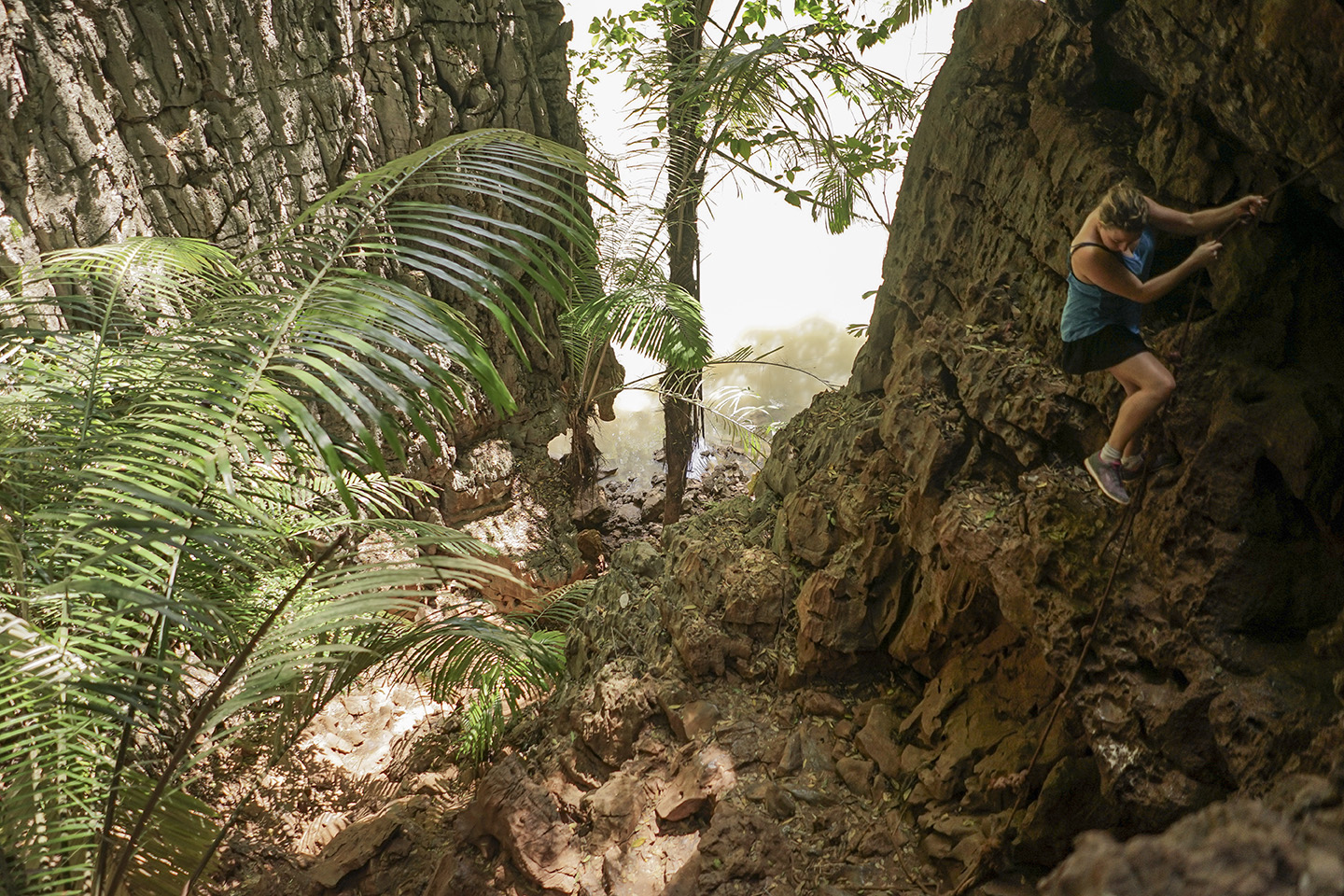 Alice begins the descent