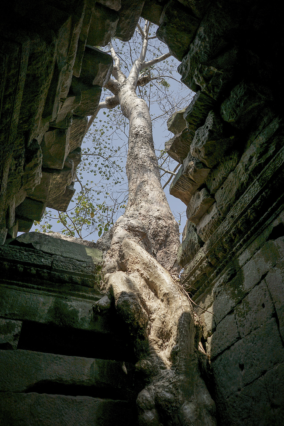 Siem Reap_0058.jpg