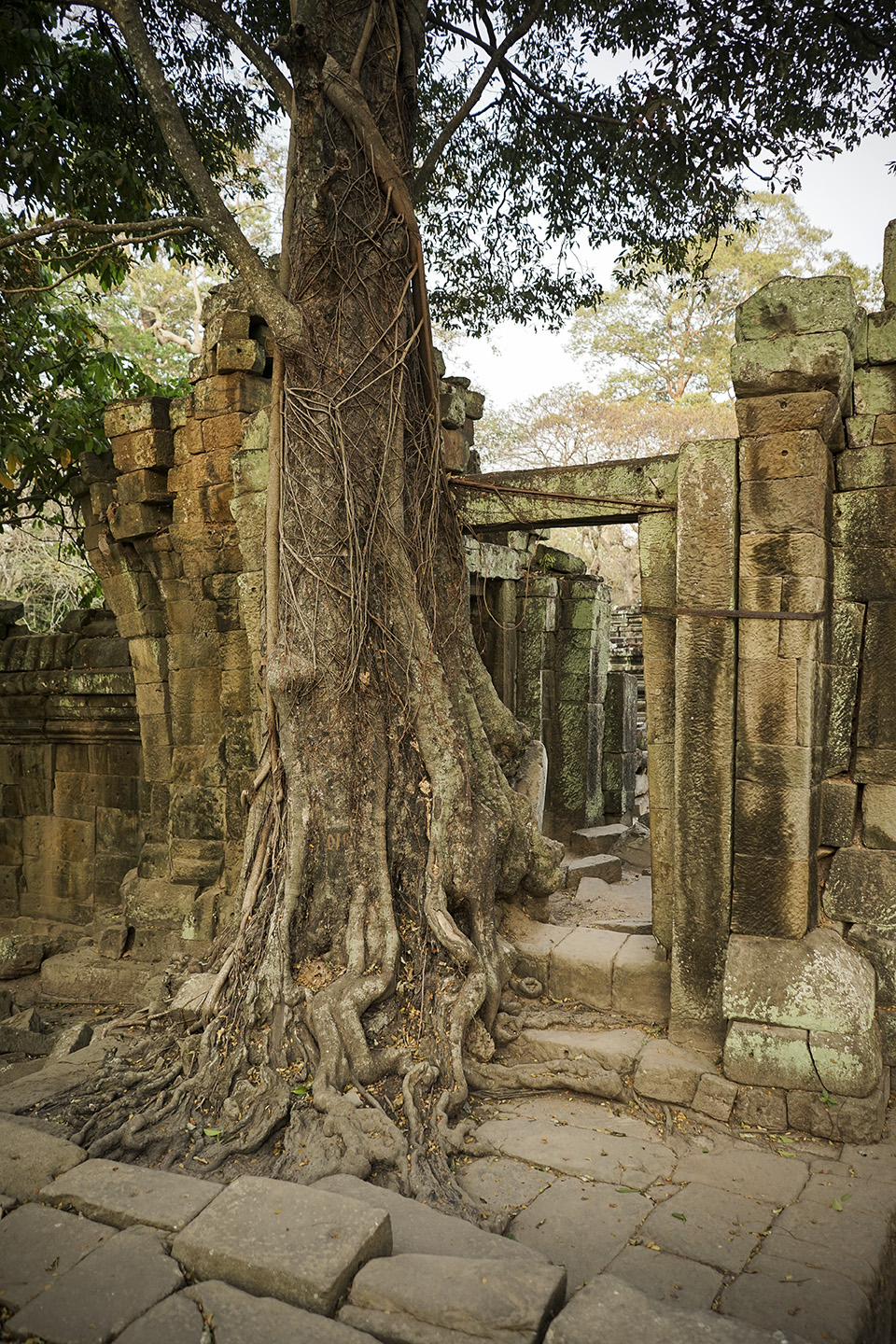 Siem Reap_0112.jpg