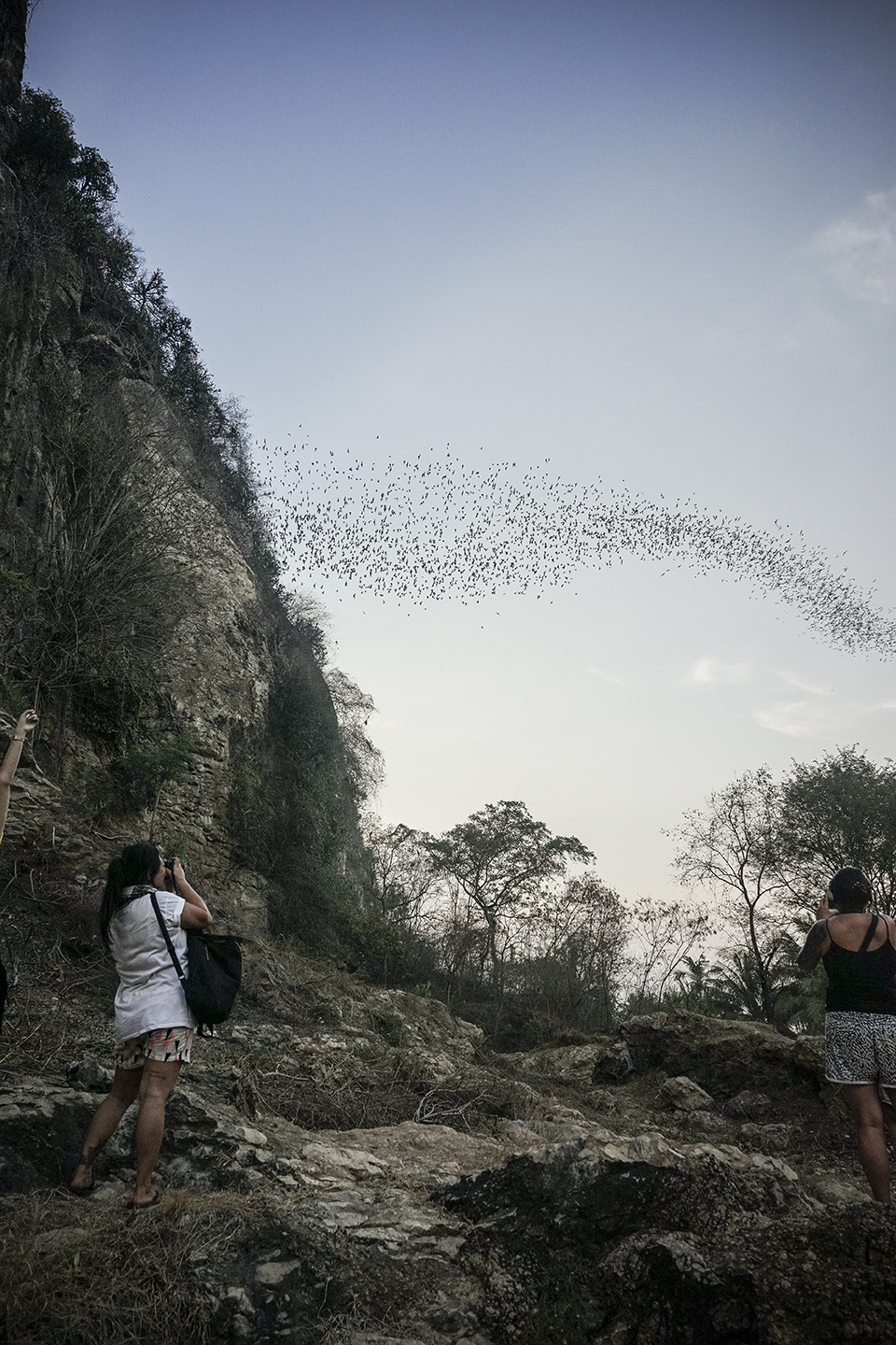 Approximately a million bats fly from this cave every evening