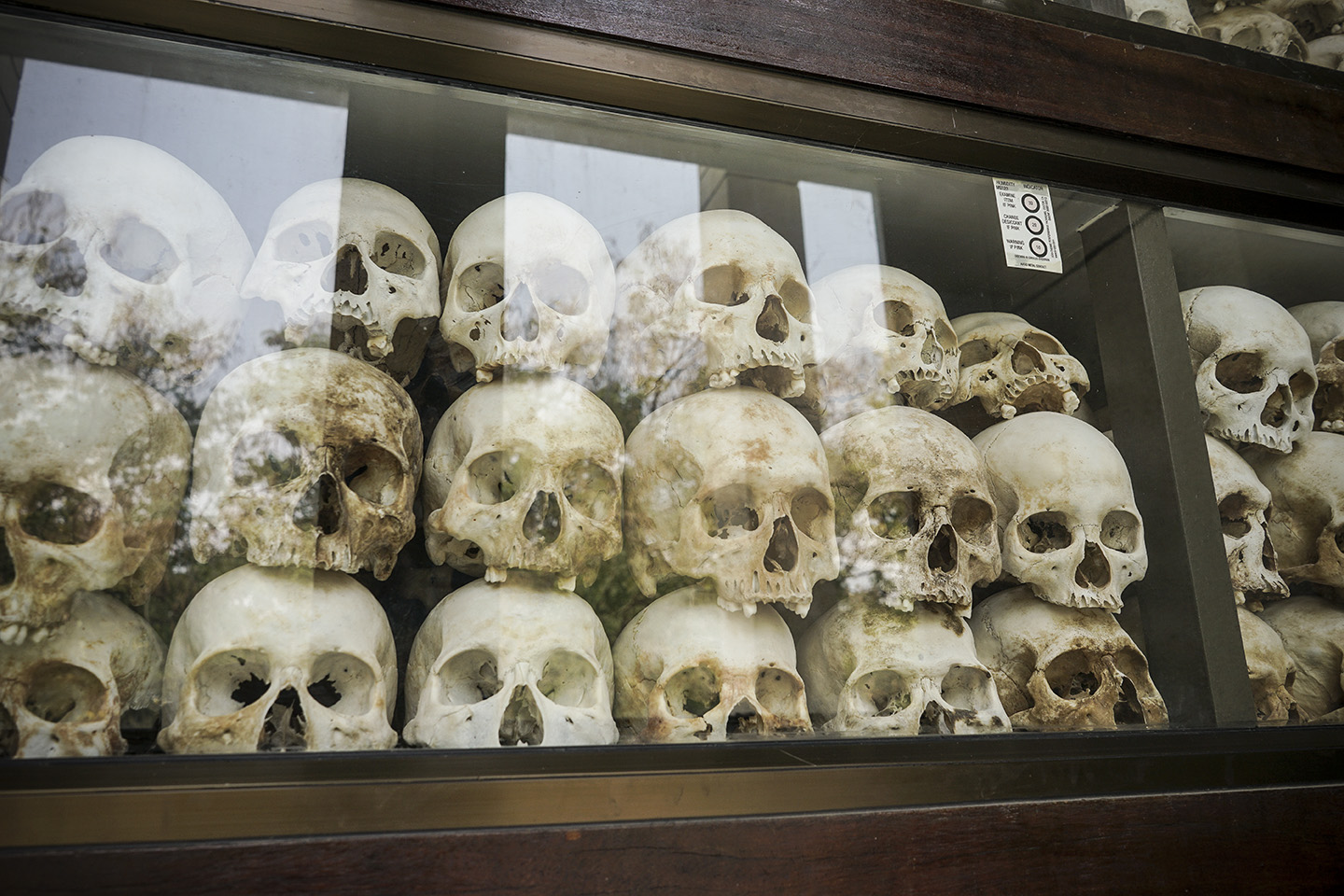 Skulls in the Stupa