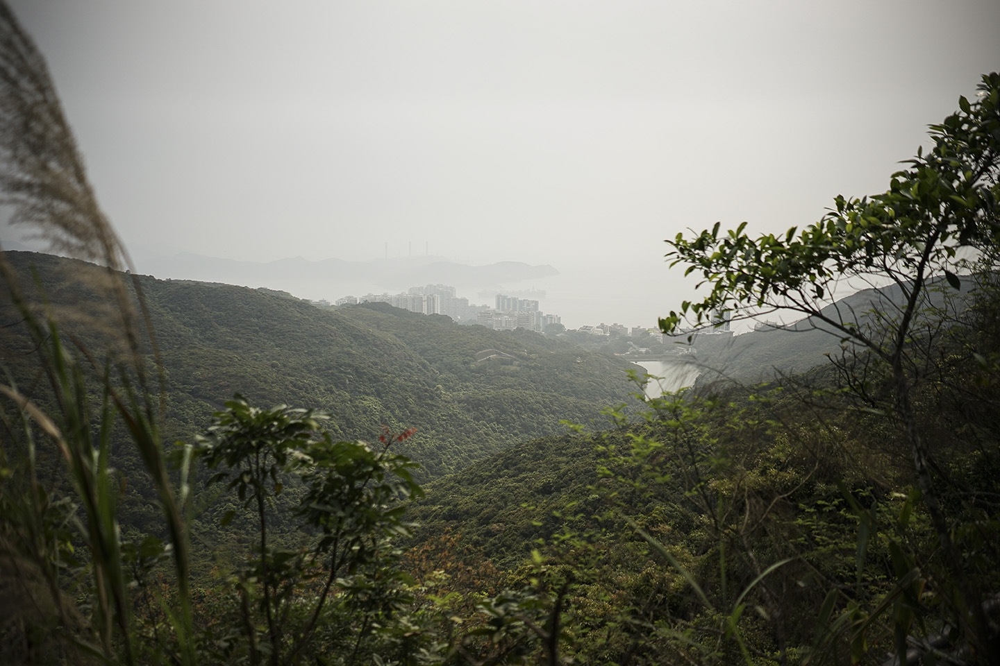 View from Victoria Peak