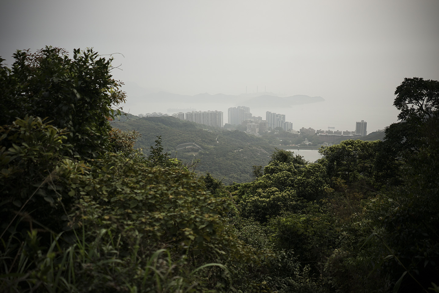 Hong Kong_0026.jpg