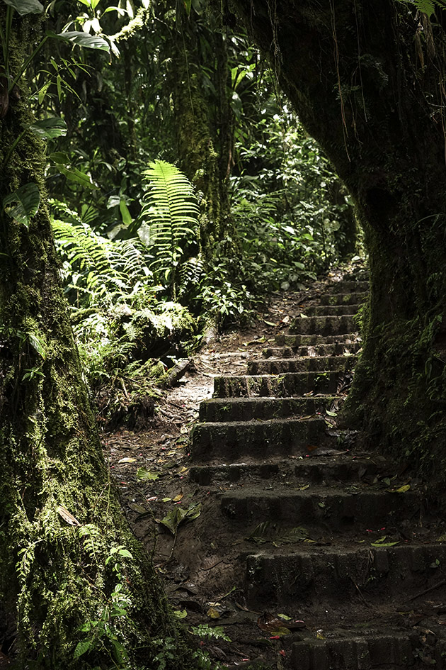 Monteverde_0040.jpg