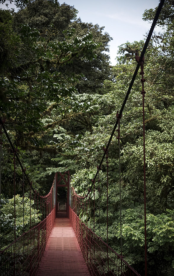 Suspension Bridge