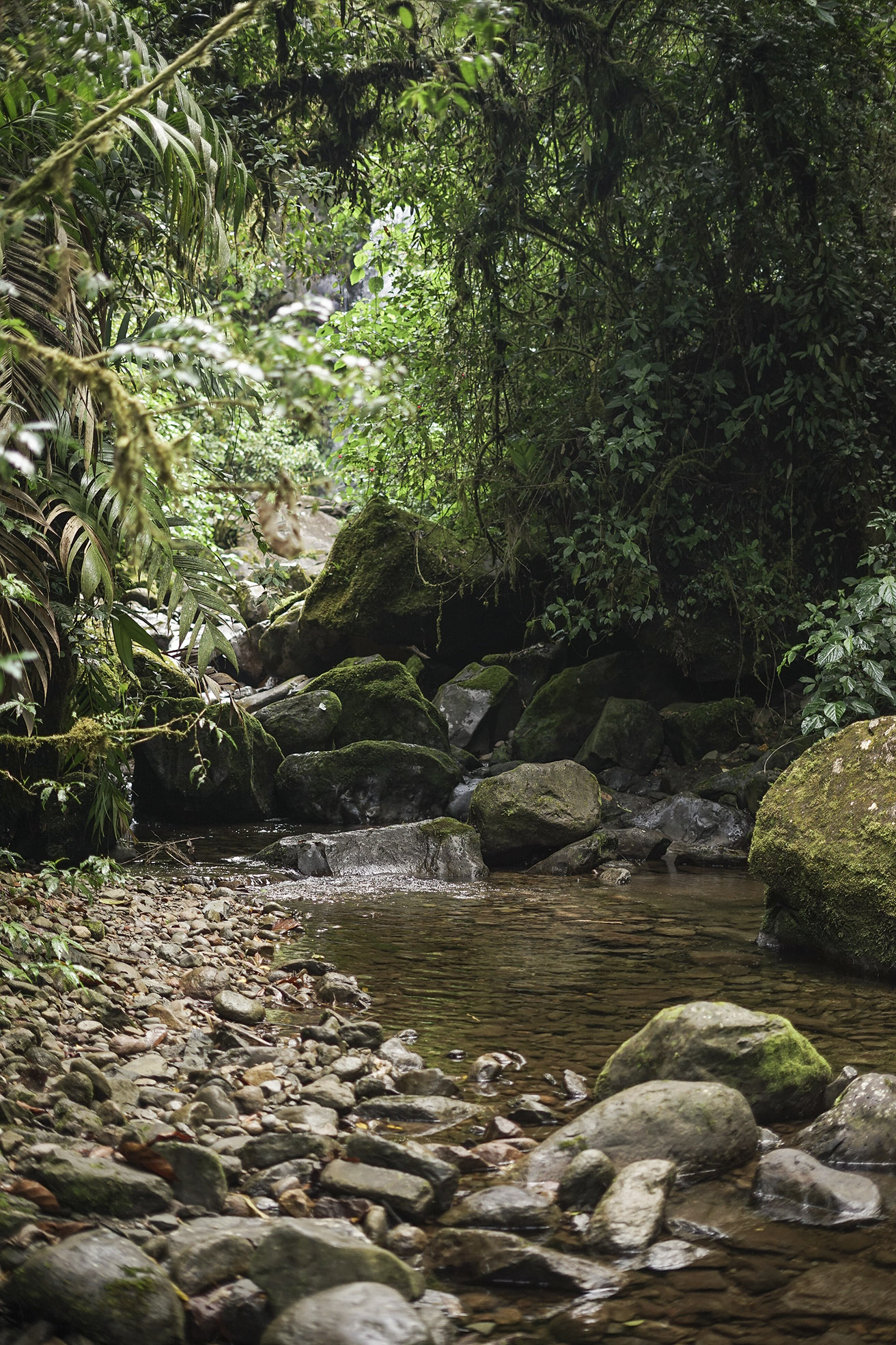 The Lost Waterfalls Hike