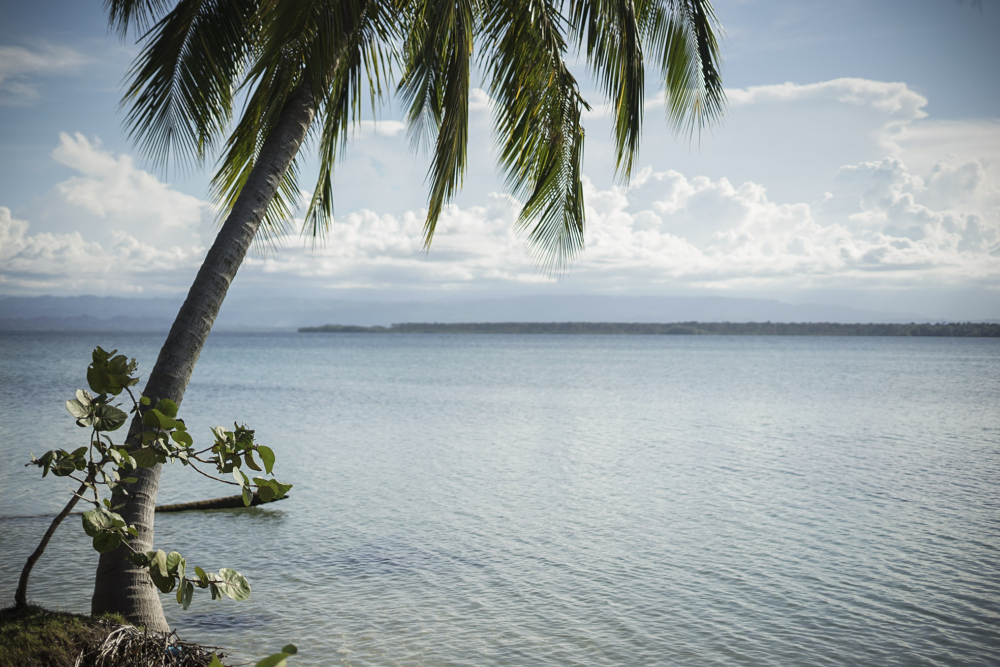 Playa Estrella (Bocas Del Toro)