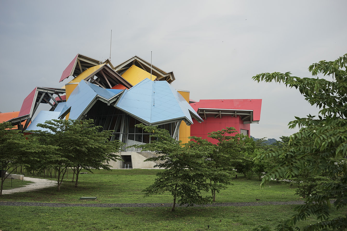 Museo Biodiversidad