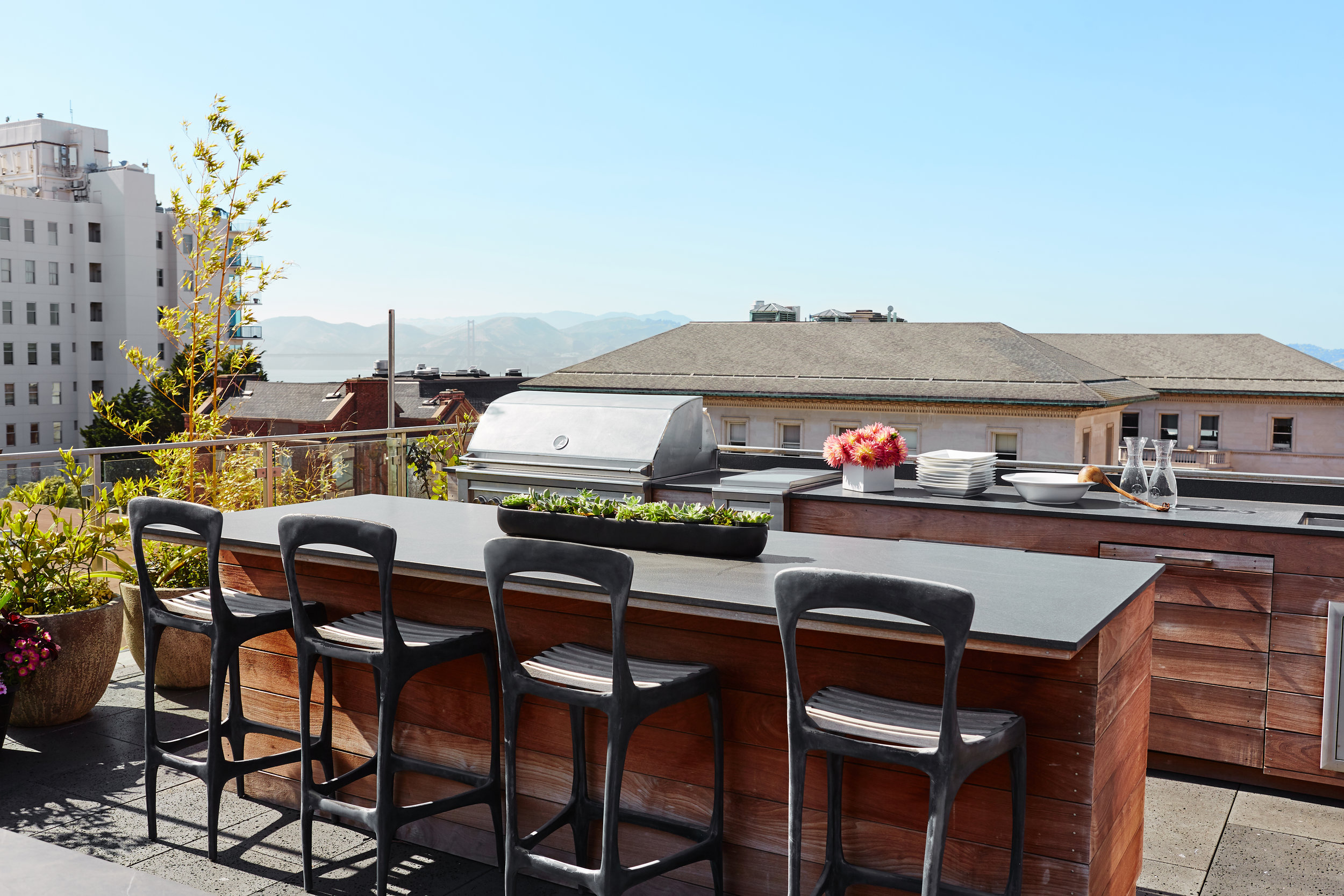 Noz Design - Pac Heights House with a Roof - Roof deck kitchen side.jpg