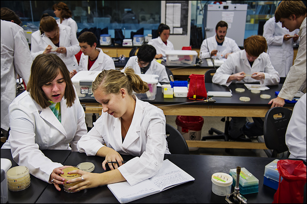  Elizabeth Pulsifer, left, a junior at Gatton Academy from Boone County, Ky., examines a petri dish with Western Kentucky University freshman Emily Noel, right, from Boone Countym Ky., on Tuesday, September 9, 2014. The class, Genome Discovery and Ex