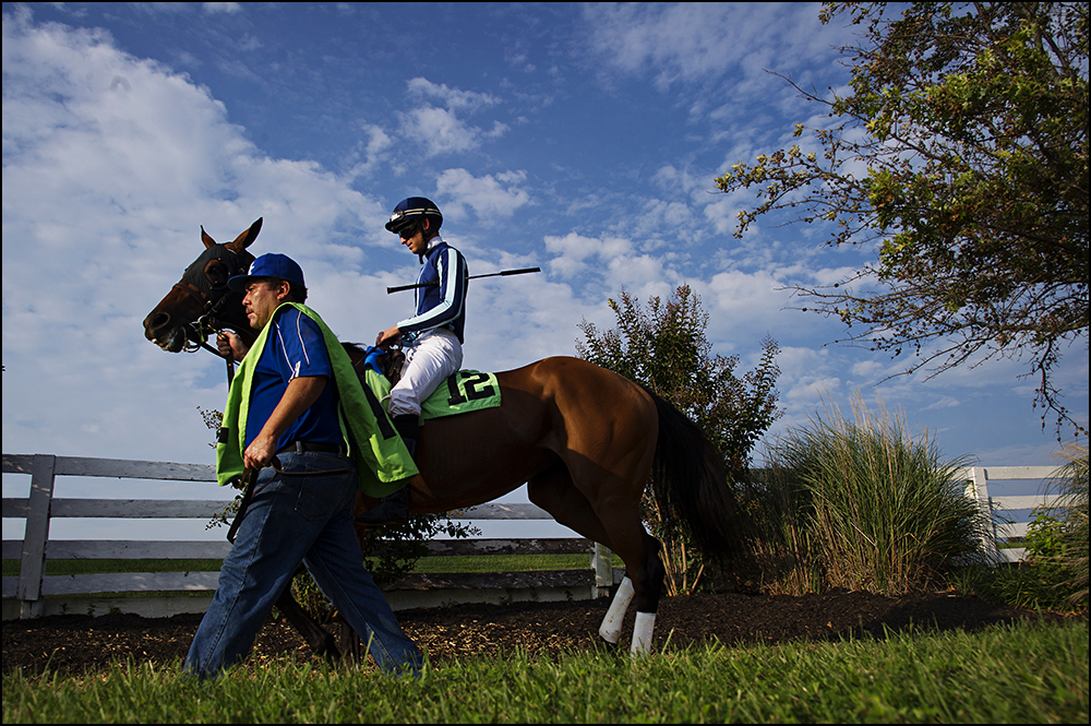  Jockey Chris Landeros, 26, from California, riding Cat With a Twist is lead out to the track for his third race of the day at Kentucky Downs race track in Franklin, Ky. on Wednesday, September 10, 2014. Landeros would finish fifth in the race. By Br