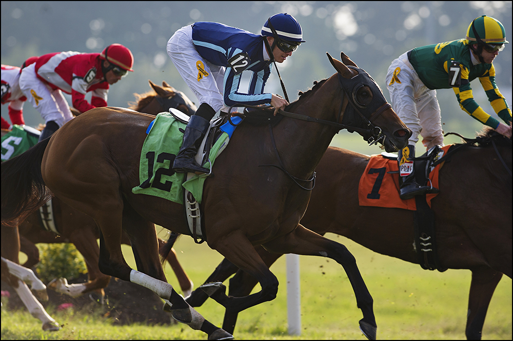  Jockey Chris Landeros, 26, center, from California, rides Cat With a Twist to a fifth place finish at Kentucky Downs race track in Franklin, Ky. on Wednesday, September 10, 2014. By Brian Powers, Special to the CJ, 09/08/2014 