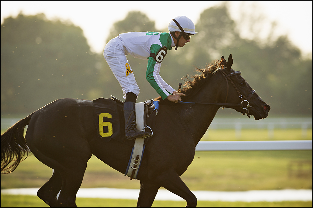  Chris Landeros, 26, from California, rides Three Way Ticket to a seventh place finish at Kentucky Downs race track in Franklin, Ky. on Wednesday, September 10, 2014. By Brian Powers, Special to the CJ, 09/08/2014 