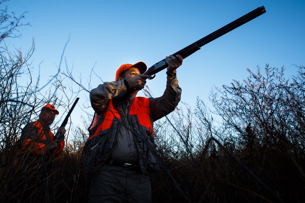  Republican presidential candidate Ted Cruz takes aim at a pheasant  during the Col. Bud Day Pheasant Hunt at The Hole N the Wall Lodge on Saturday, October 31, 2015 in Akron, Iowa. 