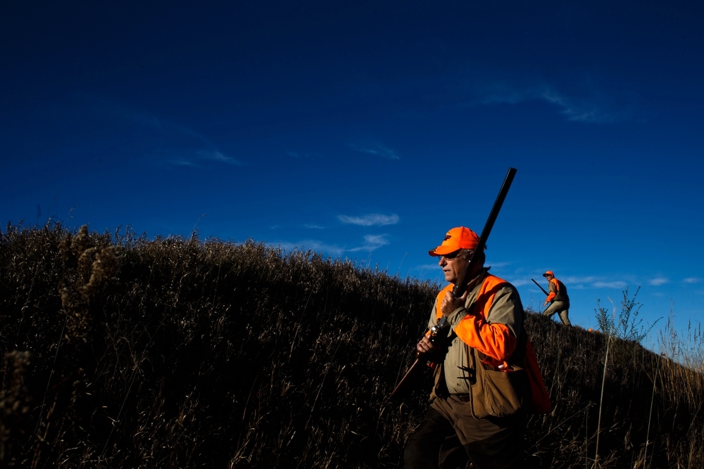  Congressman Steve King walks through the fields during the Col. Bud Day Pheasant Hunt at The Hole N the Wall Lodge on Saturday, October 31, 2015 in Akron, Iowa. 