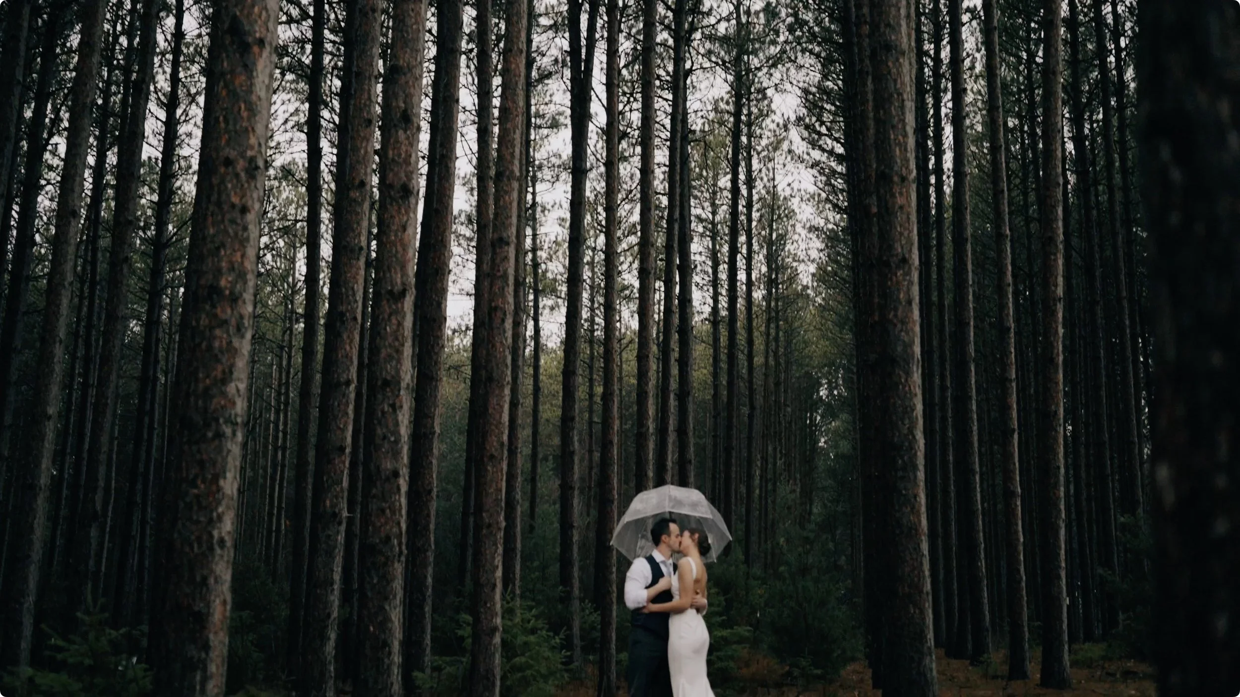 Emma + Caleb - Stunning Forest Wedding at Pinewood in Cambridge, MN
