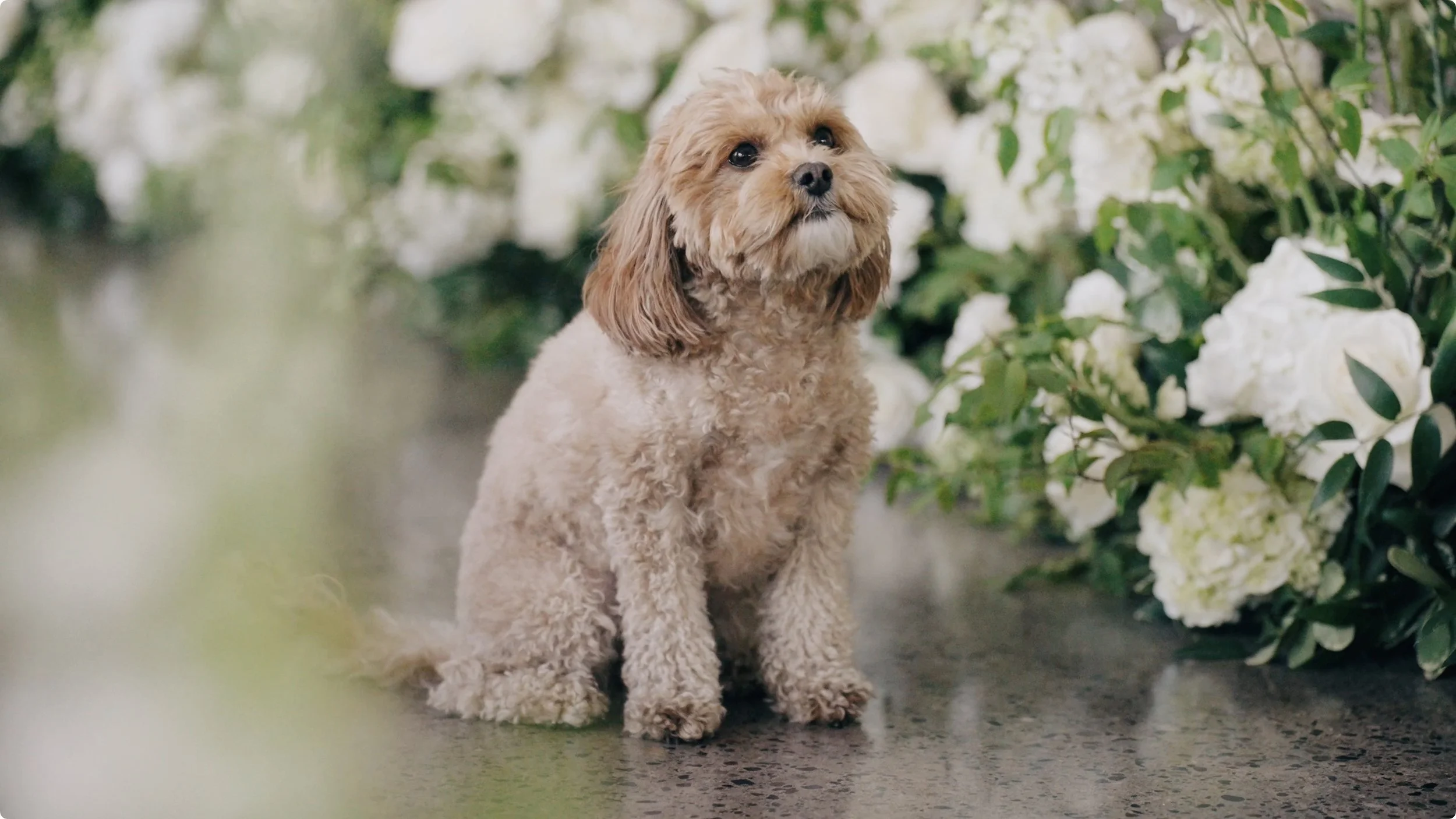 Screenshot 2024-05-30 at 11.56.22 AM.jpeg