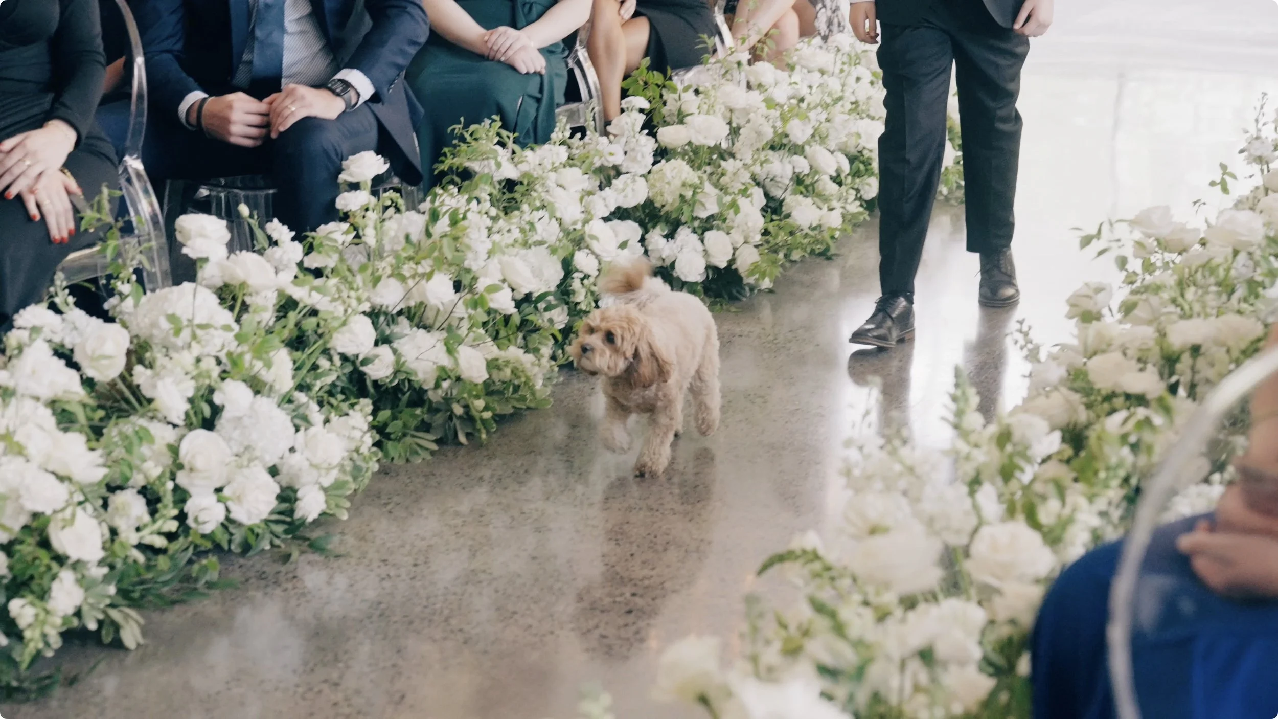 Screenshot 2024-05-30 at 11.59.11 AM.jpeg