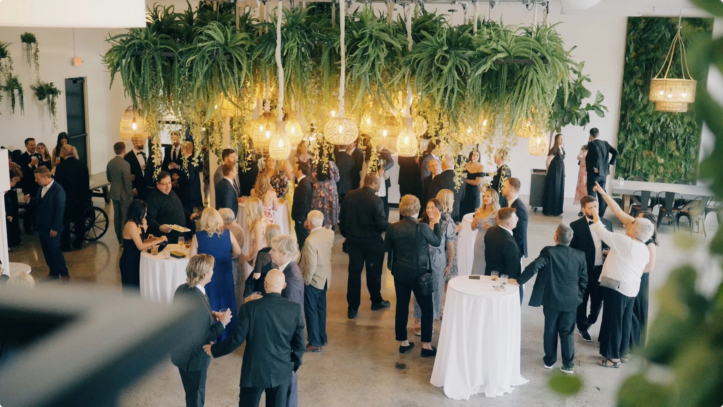 Screenshot 2024-05-30 at 12.02.52 PM.jpeg