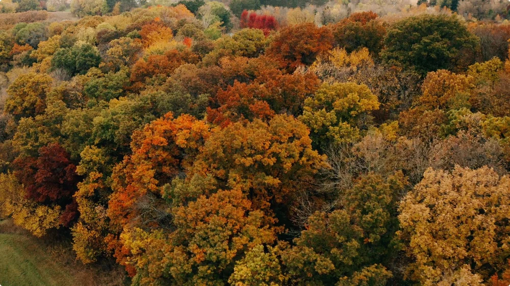 Screenshot 2025-03-18 at 12.04.17.jpeg