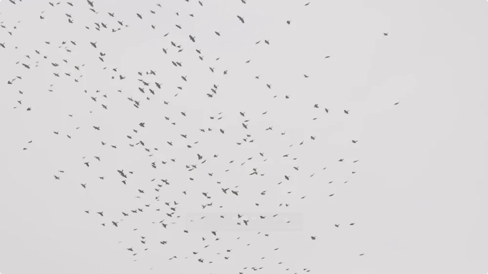 Screenshot 2025-03-18 at 12.06.51.jpeg