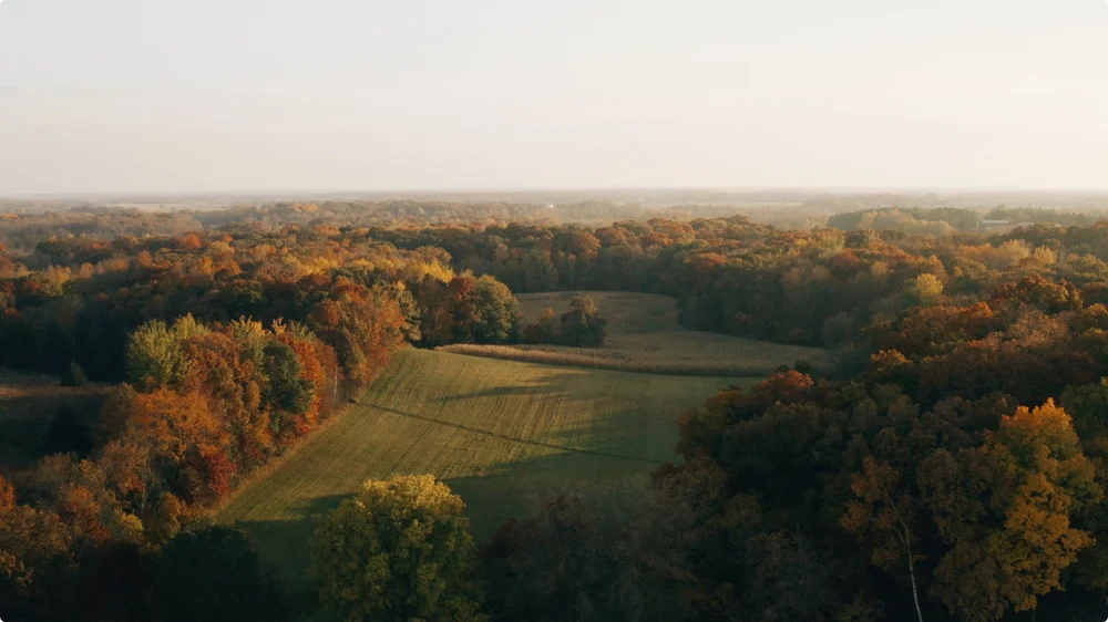 Screenshot 2025-03-18 at 12.12.13.jpeg